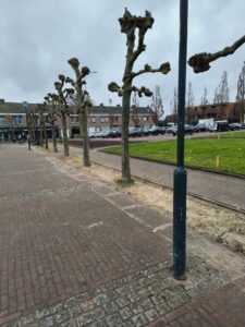 Dorpsraad Ospel Aerthijsplein verfraaiing 2025