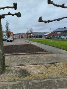 Dorpsraad Ospel Aerthijsplein verfraaiing 2025