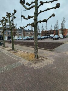 Dorpsraad Ospel Aerthijsplein verfraaiing 2025